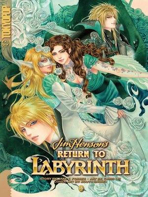 cover image of Return to Labyrinth, Volume 4